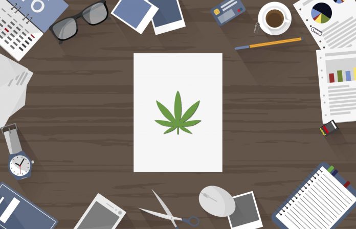 Navigating the Green Frontier: Your Comprehensive Guide to Cannabis Resources for Wellness